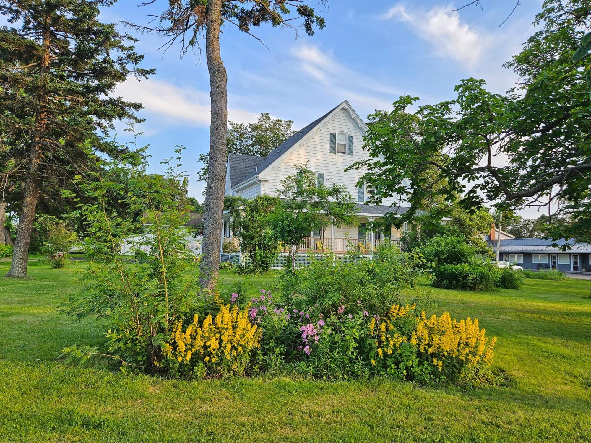 Sunflower Guest Suites Summerside Exterior foto